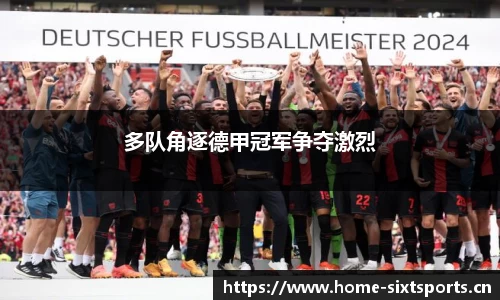 6t体育