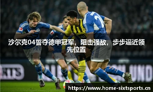 6t体育官网